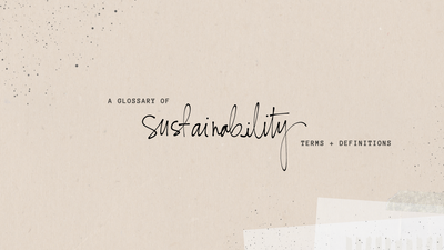 Glossary: Sustainability Terms + Definitions